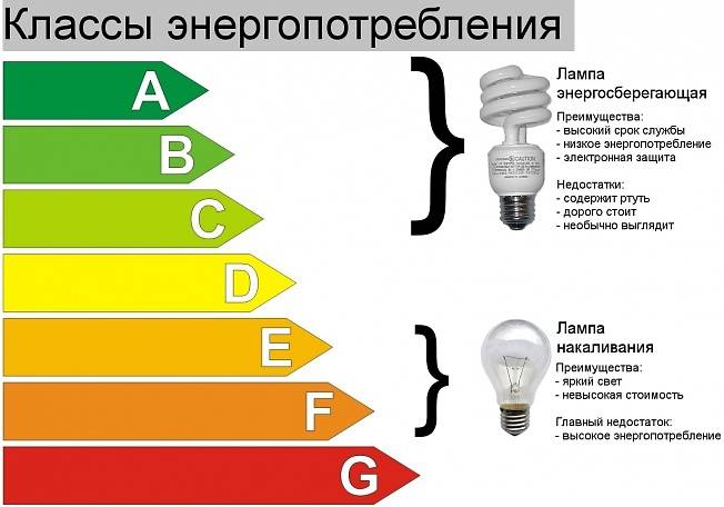 Какие лампочки лучше выбрать для дома светодиодные или энергосберегающие