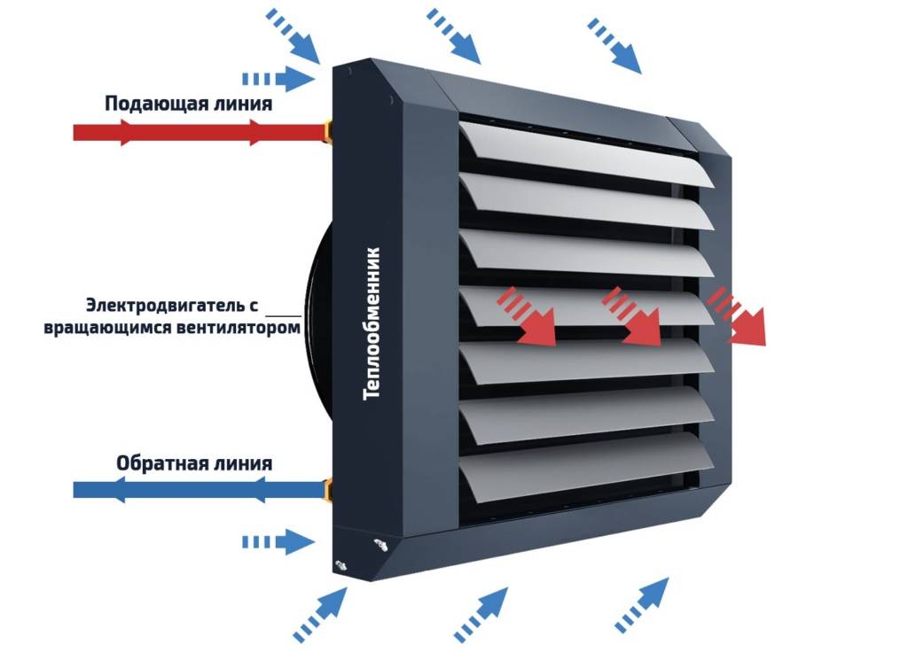 Как выбрать напольный вентилятор. напольные вентиляторы — особенности и преимущества
