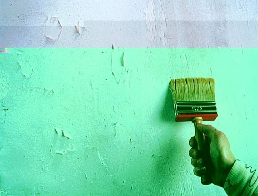 Чем покрасить стены в гараже: выбор краски, цвета покрытия, как красить