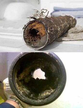 Как избавиться от запаха канализации в квартире и частном доме
