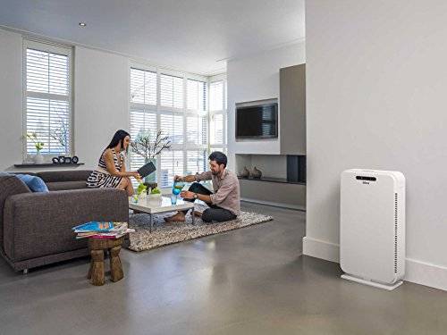 Очиститель воздуха для квартиры: какой выбрать?