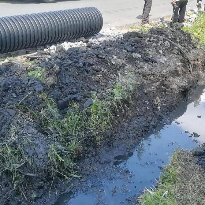 Соседи сливают канализацию в ливневую канаву - вопросы по судам