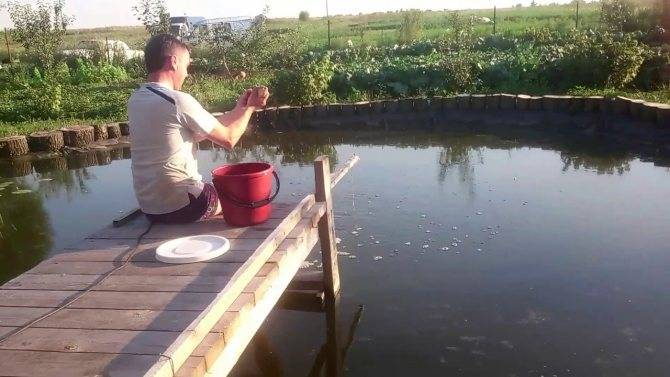 Как сделать пруд для разведения рыбы всего за 5-6 тысяч рублей и за 2-3 дня