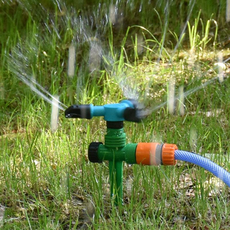 Полив газона: нормы, как часто и как правильно поливать после посадки