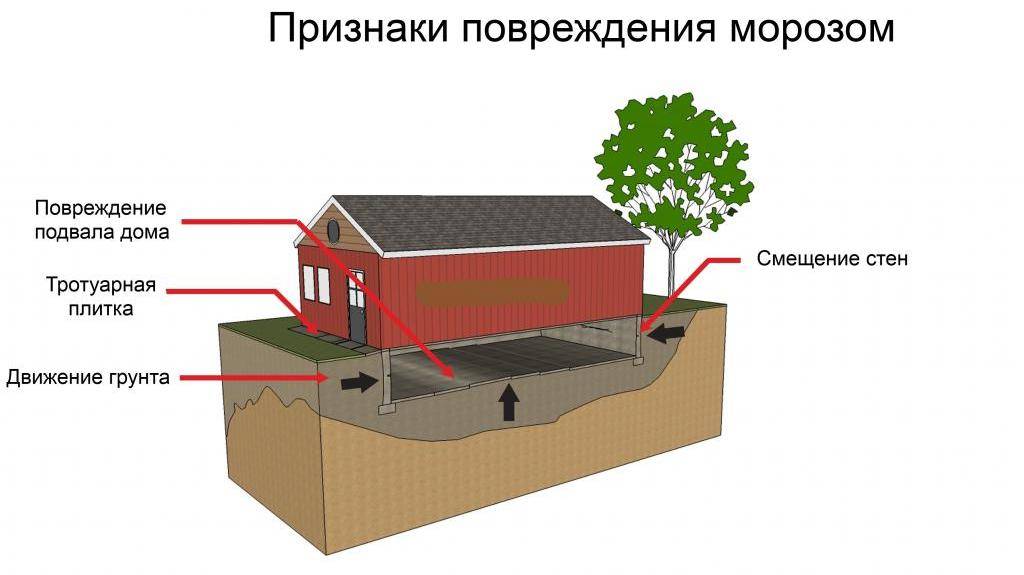Динамика пучинистых грунтов