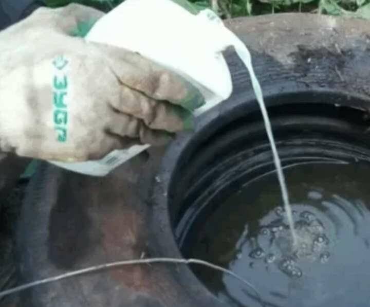 Что делать если выгребная яма не впитывает воду