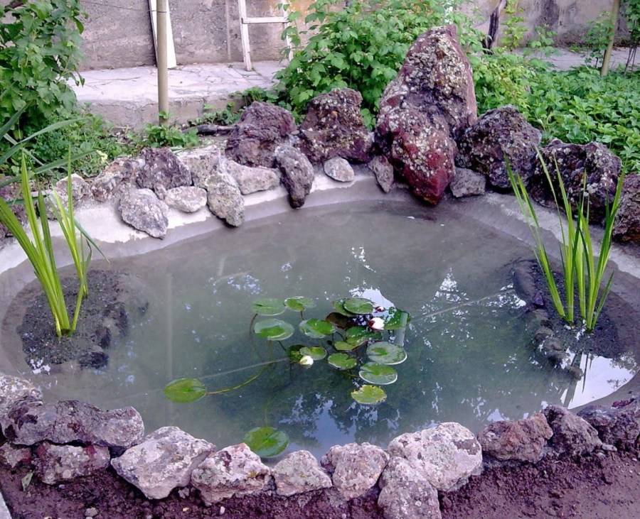 Как сделать пруд на участке загородного дома, на даче: пошаговая инструкция
