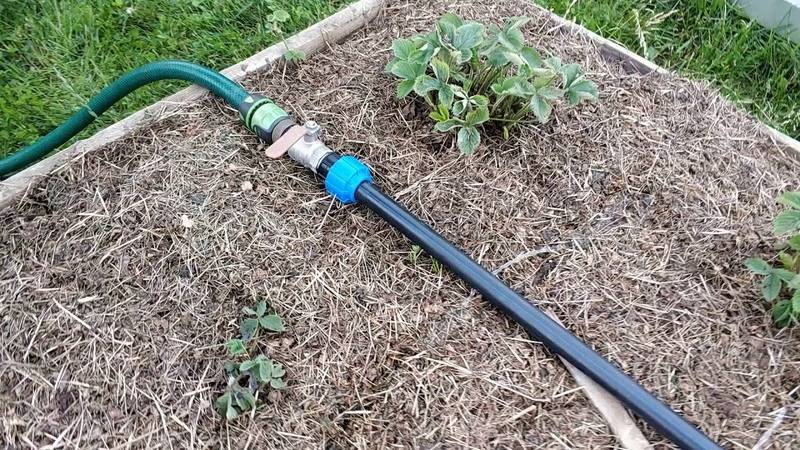 Советы опытных садоводов и огородников, как поливать участок из бочки шлангом