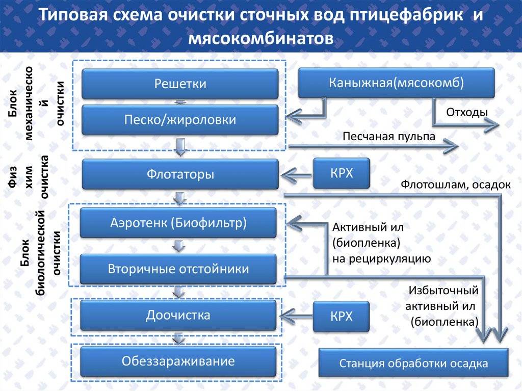 Загрязнение водоемов: источники, последствия и пути решения