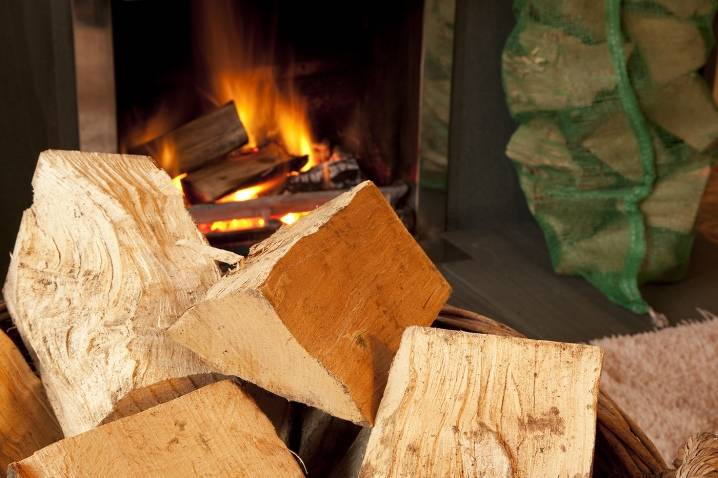 Дрова для камина: разновидности твёрдого топлива и недорогие альтернативные решения