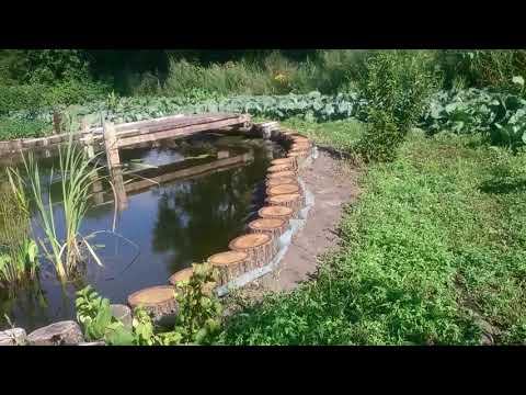 Как построить пруд на даче для разведения рыбы своими руками
