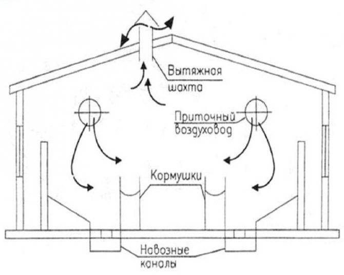 Устройство и схема вентиляции в курятнике зимой