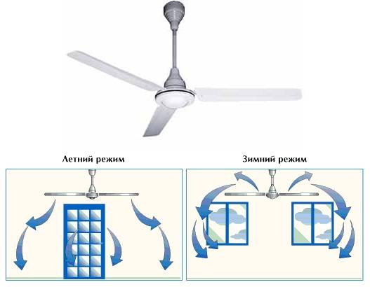 Потолочные вентиляторы: преимущества и недостатки вентиляторов в квартире и доме