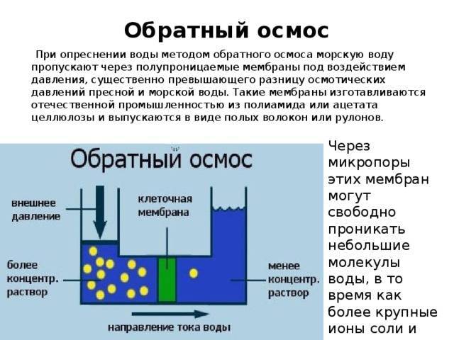 Принцип обратного осмоса: как обстоят дела на самом деле